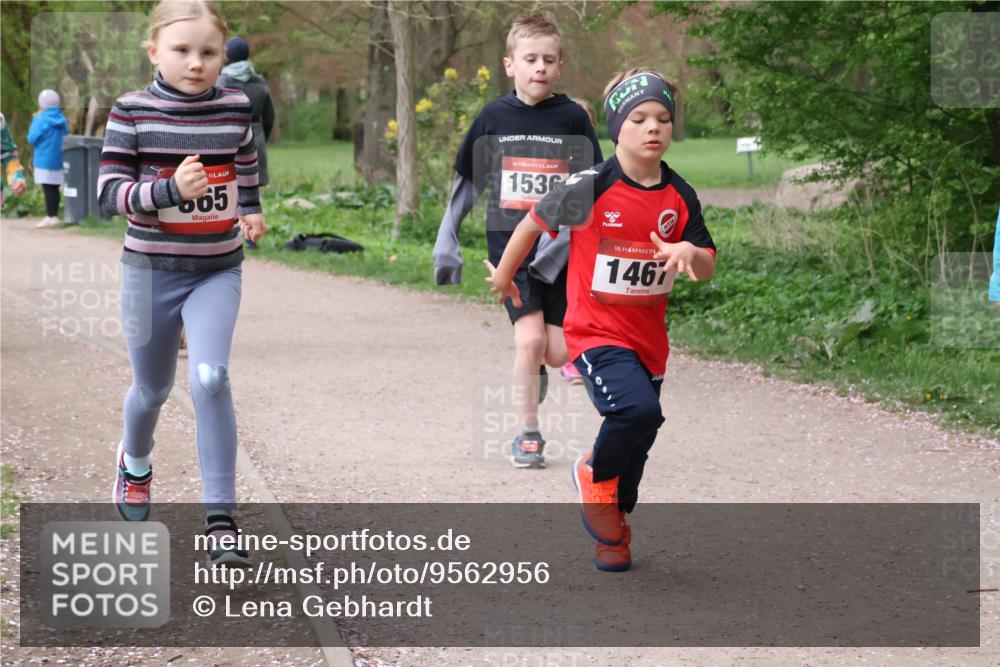 19.04.2026 - Hammer Lauf Lena Gebhardt http://msf.ph/oto/9562956 19.04.2026 09:28:49 Laufen 565, 16, 1536, 16, 146 meine-sportfotos.de