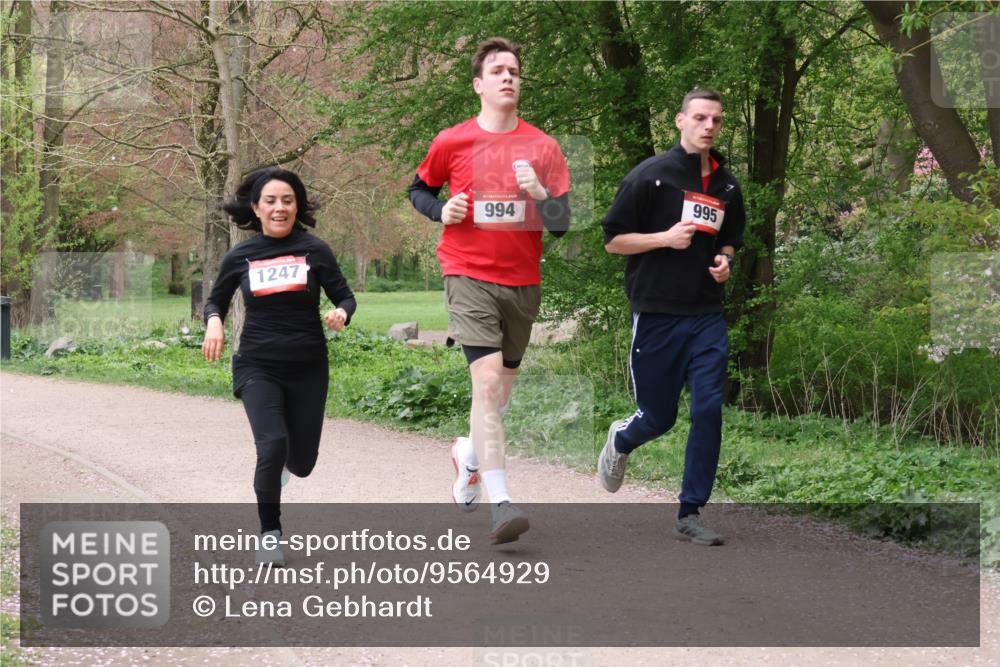 19.04.2026 - Hammer Lauf Lena Gebhardt http://msf.ph/oto/9564929 19.04.2026 10:39:52 Laufen 1247, 994, 995 meine-sportfotos.de