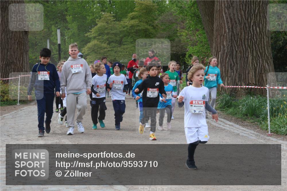 25.04.2026 - Das Zehntel Zöllner http://msf.ph/oto/9593710 25.04.2026 08:47:57 Laufen 1959, 1498 meine-sportfotos.de