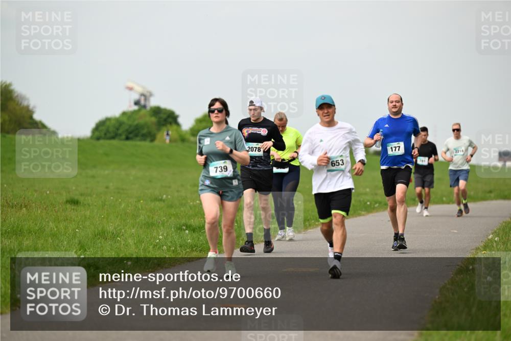 10.05.2026 - 8. Wedeler Halbmarathon Dr. Thomas Lammeyer http://msf.ph/oto/9700660 10.05.2026 11:40:13 Laufen 739, 2078, 653, 177, 701 meine-sportfotos.de