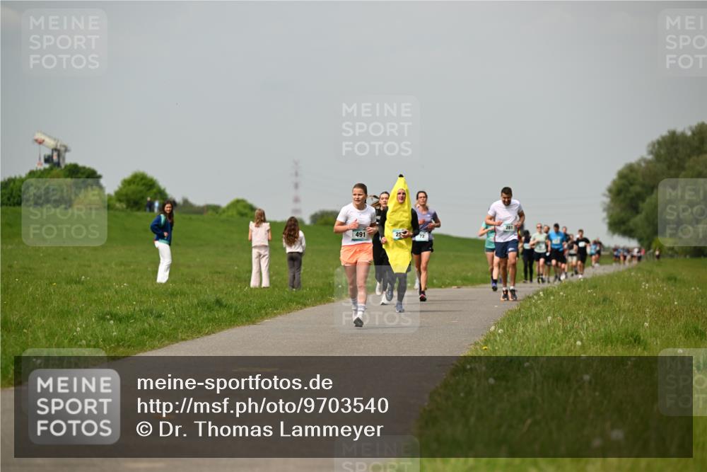 10.05.2026 - 8. Wedeler Halbmarathon Dr. Thomas Lammeyer http://msf.ph/oto/9703540 10.05.2026 11:50:25 Laufen 491 meine-sportfotos.de