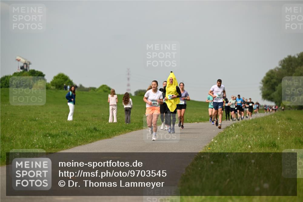 10.05.2026 - 8. Wedeler Halbmarathon Dr. Thomas Lammeyer http://msf.ph/oto/9703545 10.05.2026 11:50:25 Laufen 491, 281 meine-sportfotos.de