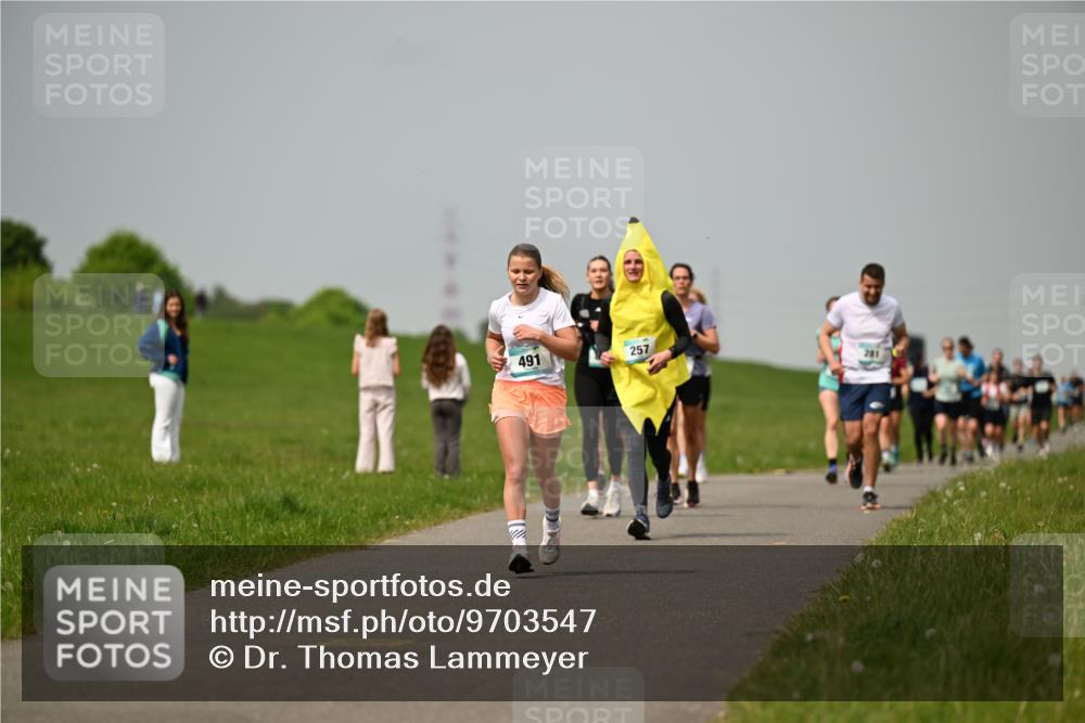 10.05.2026 - 8. Wedeler Halbmarathon Dr. Thomas Lammeyer http://msf.ph/oto/9703547 10.05.2026 11:50:26 Laufen 491, 257 meine-sportfotos.de