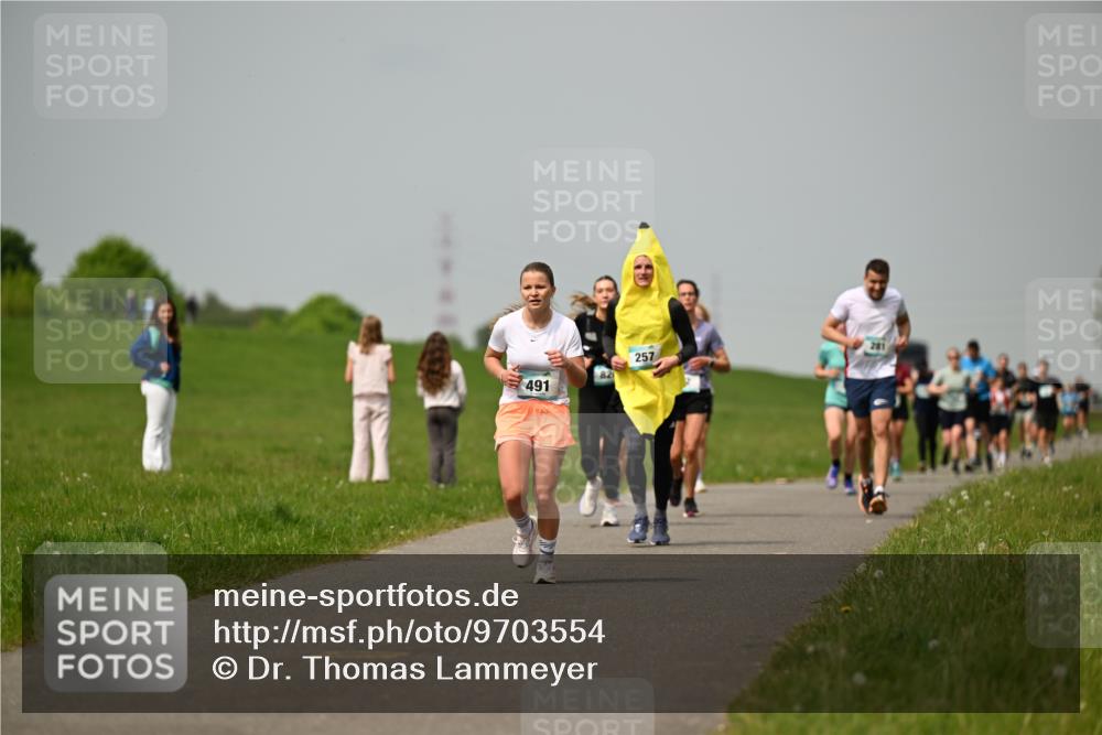 10.05.2026 - 8. Wedeler Halbmarathon Dr. Thomas Lammeyer http://msf.ph/oto/9703554 10.05.2026 11:50:26 Laufen 491, 257 meine-sportfotos.de