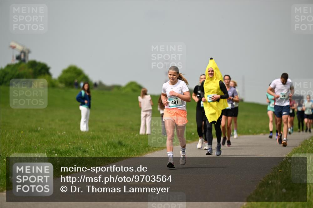 10.05.2026 - 8. Wedeler Halbmarathon Dr. Thomas Lammeyer http://msf.ph/oto/9703564 10.05.2026 11:50:26 Laufen 491, 201 meine-sportfotos.de