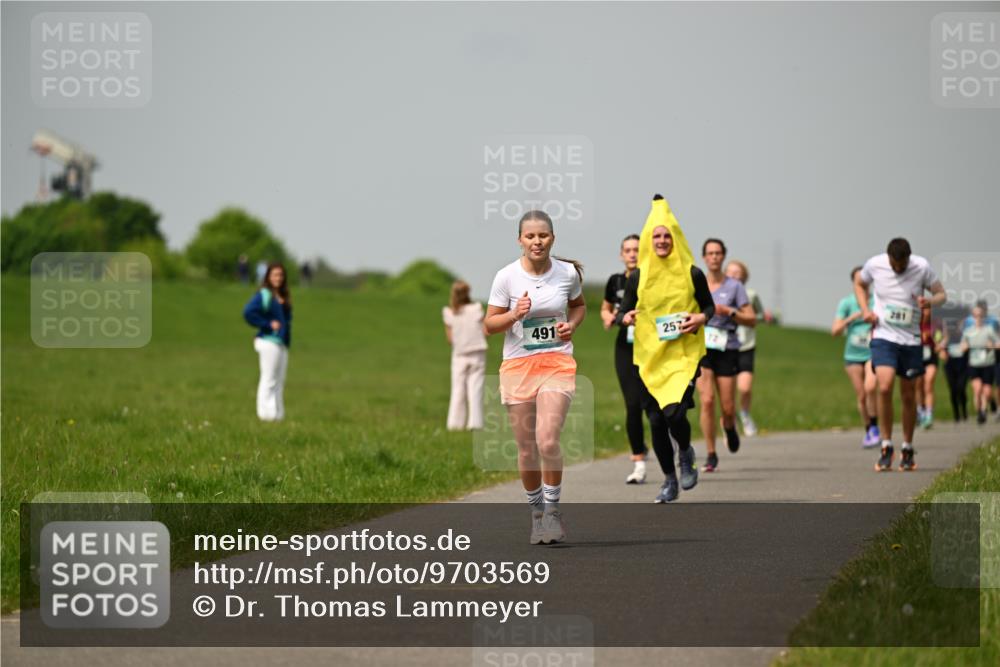 10.05.2026 - 8. Wedeler Halbmarathon Dr. Thomas Lammeyer http://msf.ph/oto/9703569 10.05.2026 11:50:27 Laufen 491, 257 meine-sportfotos.de
