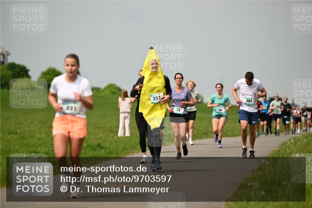 10.05.2026 - 8. Wedeler Halbmarathon Dr. Thomas Lammeyer http://msf.ph/oto/9703597 10.05.2026 11:50:29 Laufen 491, 257, 281 meine-sportfotos.de