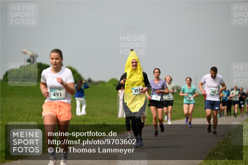 10.05.2026 - 8. Wedeler Halbmarathon Dr. Thomas Lammeyer http://msf.ph/oto/9703602 10.05.2026 11:50:30 Laufen 491, 257, 281 meine-sportfotos.de