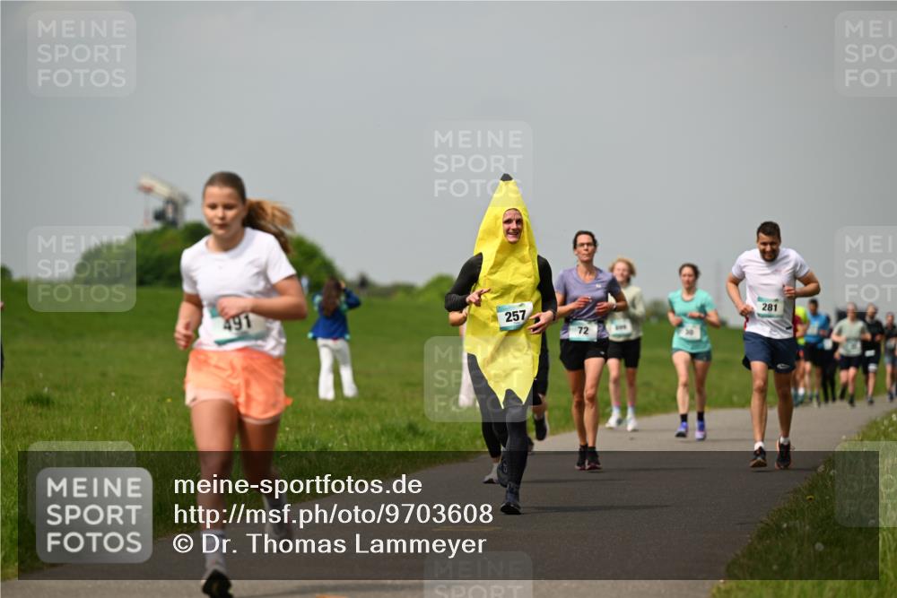 10.05.2026 - 8. Wedeler Halbmarathon Dr. Thomas Lammeyer http://msf.ph/oto/9703608 10.05.2026 11:50:30 Laufen 491, 257, 281 meine-sportfotos.de