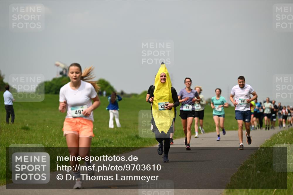 10.05.2026 - 8. Wedeler Halbmarathon Dr. Thomas Lammeyer http://msf.ph/oto/9703610 10.05.2026 11:50:30 Laufen 281 meine-sportfotos.de
