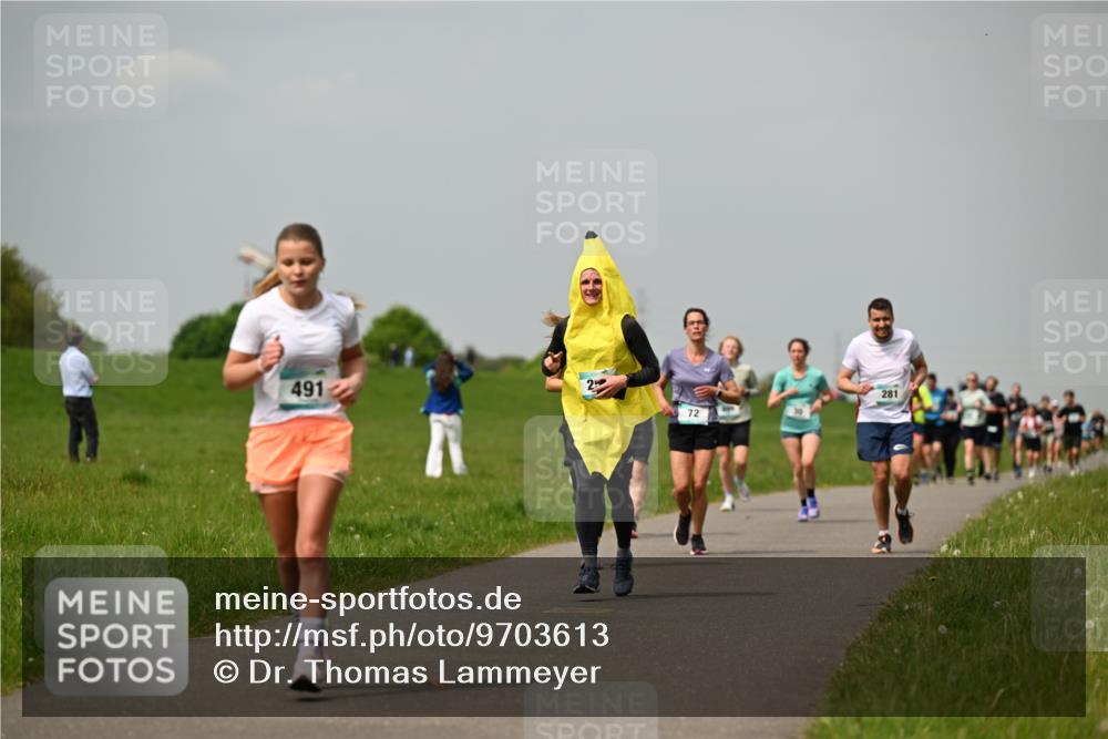 10.05.2026 - 8. Wedeler Halbmarathon Dr. Thomas Lammeyer http://msf.ph/oto/9703613 10.05.2026 11:50:30 Laufen 491, 281 meine-sportfotos.de