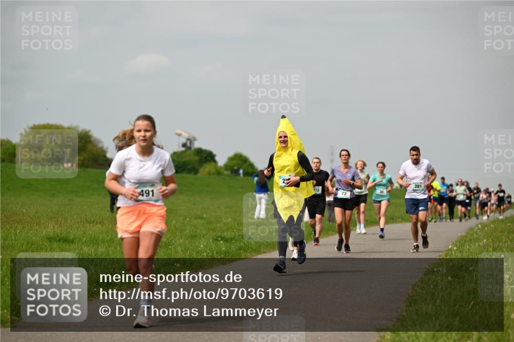 10.05.2026 - 8. Wedeler Halbmarathon Dr. Thomas Lammeyer http://msf.ph/oto/9703619 10.05.2026 11:50:31 Laufen 491, 281 meine-sportfotos.de