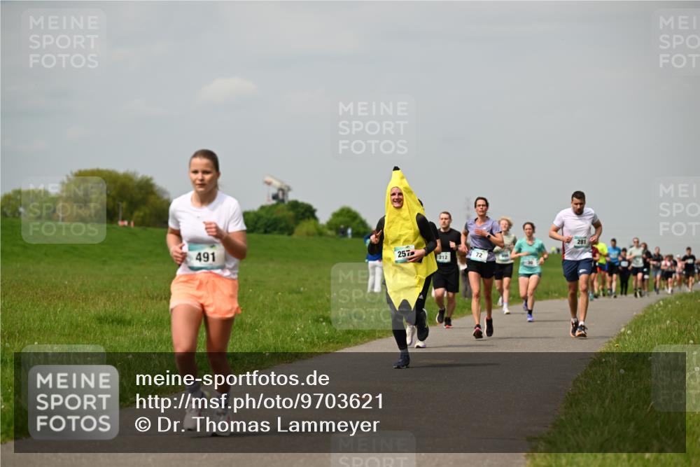10.05.2026 - 8. Wedeler Halbmarathon Dr. Thomas Lammeyer http://msf.ph/oto/9703621 10.05.2026 11:50:31 Laufen 491, 257, 212, 281 meine-sportfotos.de