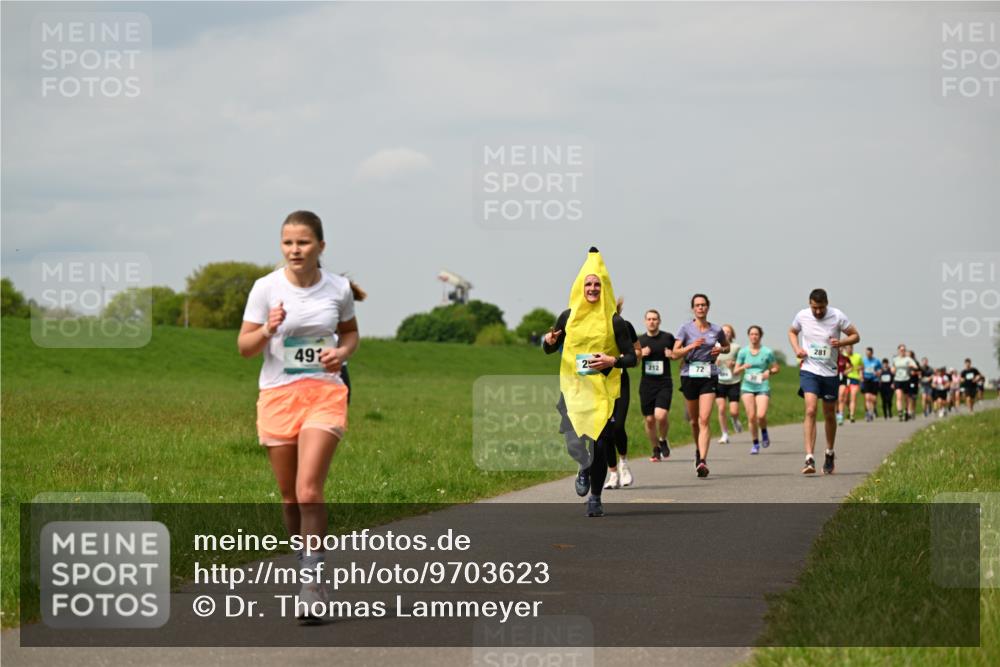 10.05.2026 - 8. Wedeler Halbmarathon Dr. Thomas Lammeyer http://msf.ph/oto/9703623 10.05.2026 11:50:31 Laufen 212, 281 meine-sportfotos.de