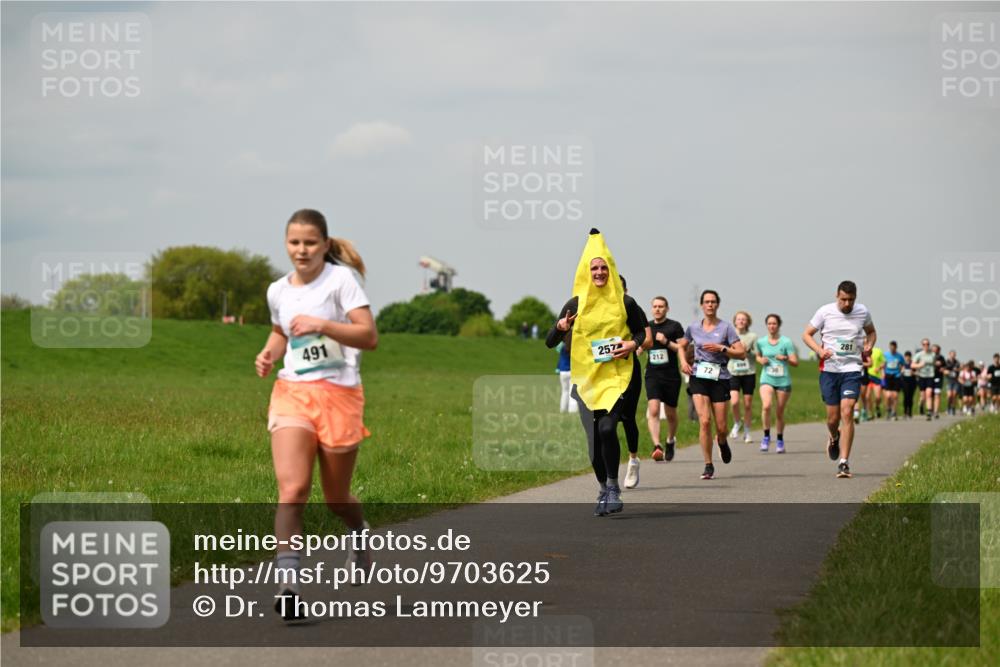 10.05.2026 - 8. Wedeler Halbmarathon Dr. Thomas Lammeyer http://msf.ph/oto/9703625 10.05.2026 11:50:31 Laufen 491, 257, 212, 281 meine-sportfotos.de