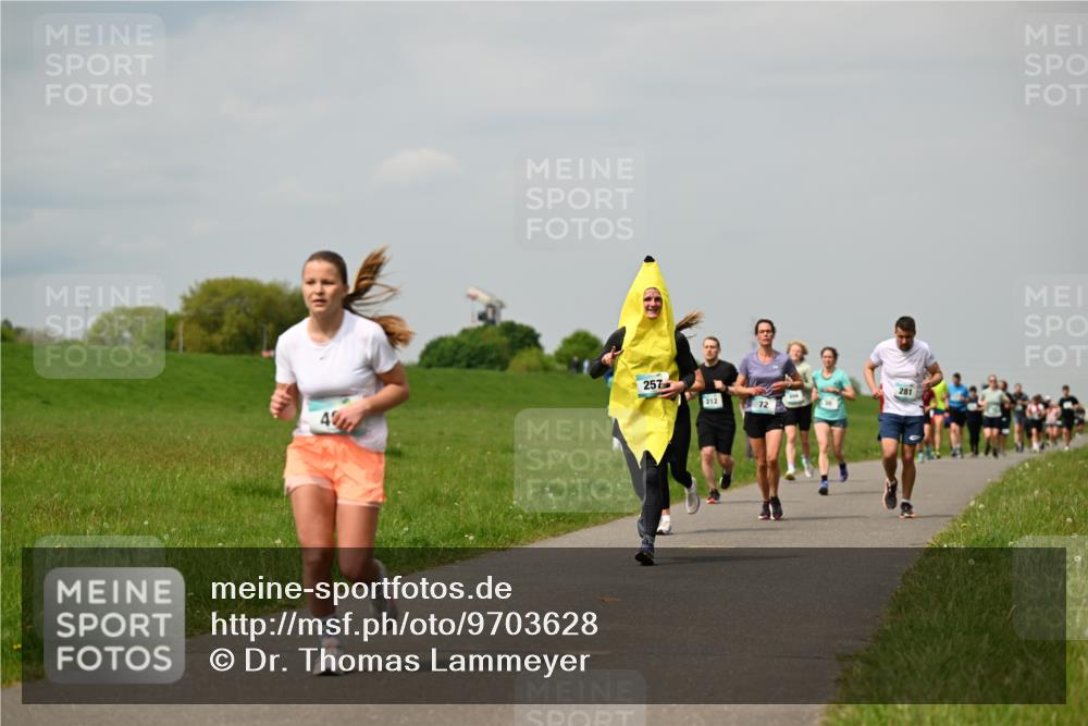 10.05.2026 - 8. Wedeler Halbmarathon Dr. Thomas Lammeyer http://msf.ph/oto/9703628 10.05.2026 11:50:31 Laufen 257, 281, 212 meine-sportfotos.de
