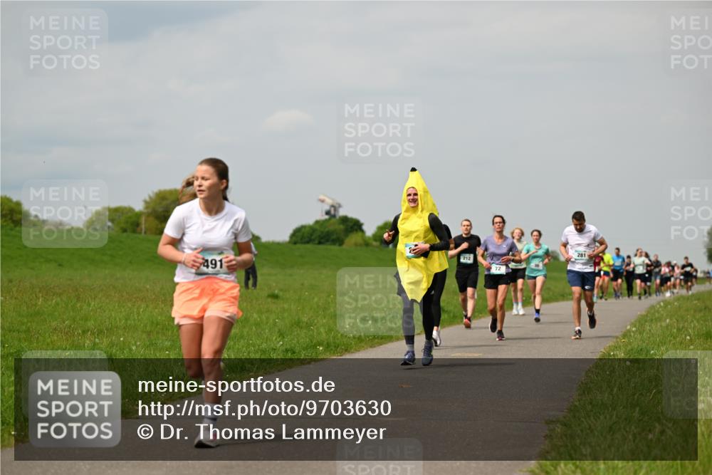 10.05.2026 - 8. Wedeler Halbmarathon Dr. Thomas Lammeyer http://msf.ph/oto/9703630 10.05.2026 11:50:31 Laufen 491, 212, 281 meine-sportfotos.de