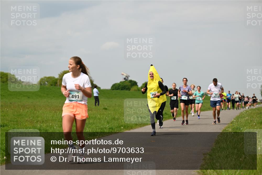 10.05.2026 - 8. Wedeler Halbmarathon Dr. Thomas Lammeyer http://msf.ph/oto/9703633 10.05.2026 11:50:32 Laufen 491, 212, 281 meine-sportfotos.de