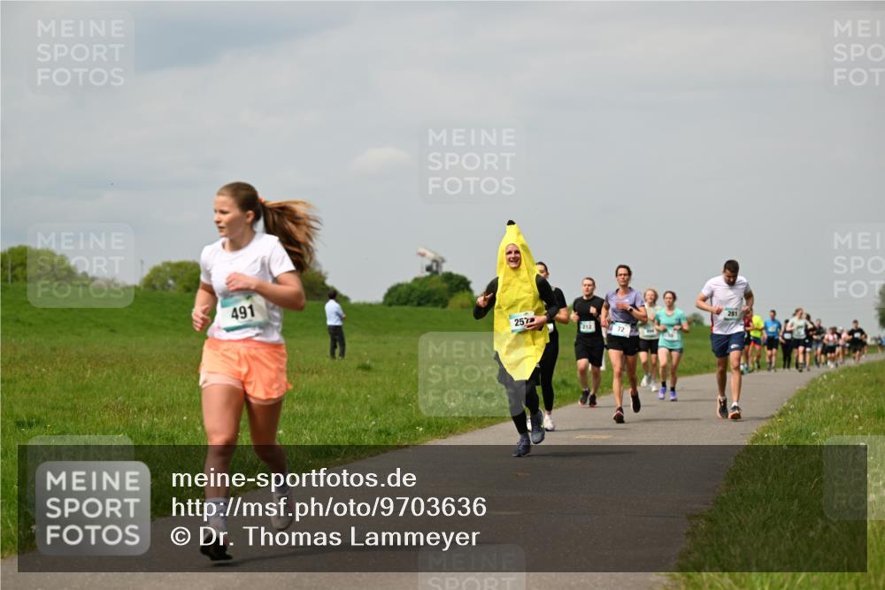 10.05.2026 - 8. Wedeler Halbmarathon Dr. Thomas Lammeyer http://msf.ph/oto/9703636 10.05.2026 11:50:32 Laufen 491, 257, 212, 281 meine-sportfotos.de
