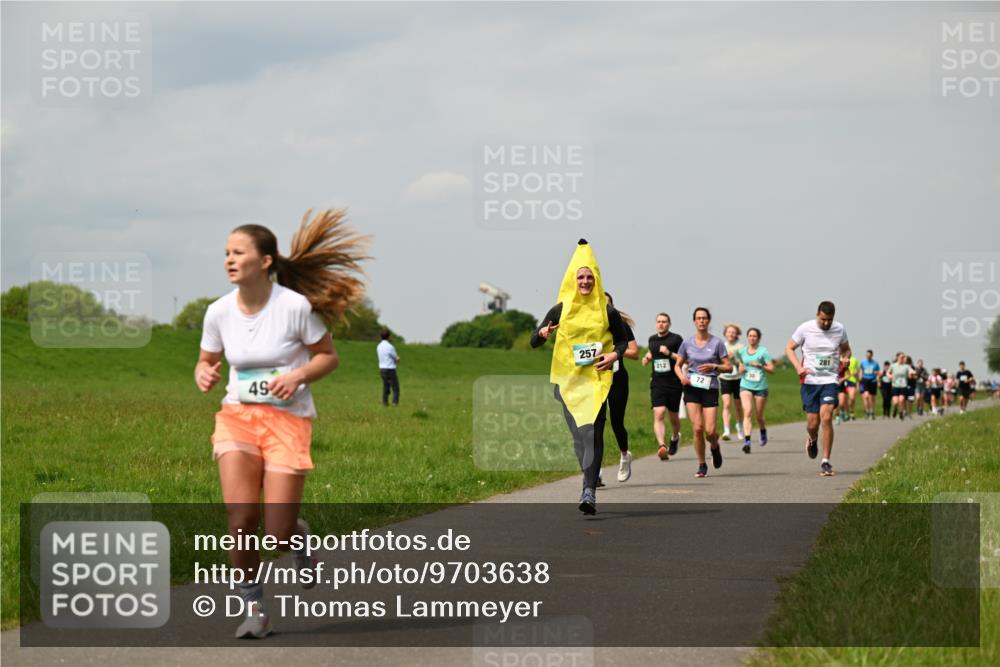 10.05.2026 - 8. Wedeler Halbmarathon Dr. Thomas Lammeyer http://msf.ph/oto/9703638 10.05.2026 11:50:32 Laufen 257, 212 meine-sportfotos.de