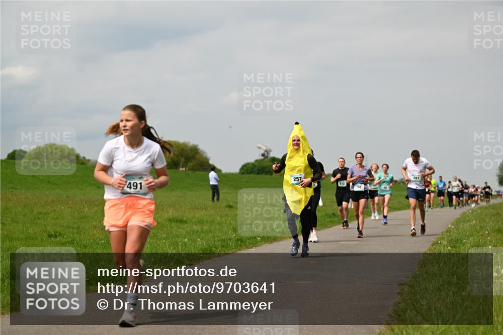 10.05.2026 - 8. Wedeler Halbmarathon Dr. Thomas Lammeyer http://msf.ph/oto/9703641 10.05.2026 11:50:32 Laufen 491, 257, 212, 281 meine-sportfotos.de