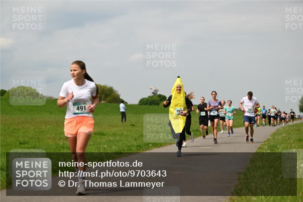 10.05.2026 - 8. Wedeler Halbmarathon Dr. Thomas Lammeyer http://msf.ph/oto/9703643 10.05.2026 11:50:32 Laufen 491, 257, 212, 281 meine-sportfotos.de
