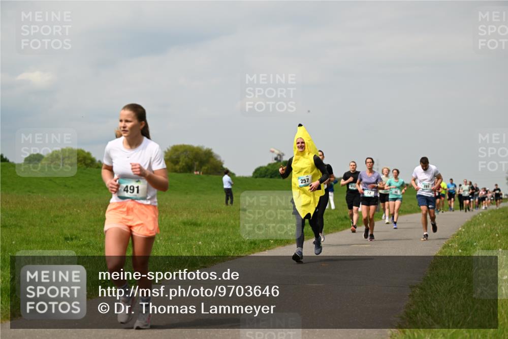 10.05.2026 - 8. Wedeler Halbmarathon Dr. Thomas Lammeyer http://msf.ph/oto/9703646 10.05.2026 11:50:32 Laufen 491, 257, 212, 281 meine-sportfotos.de