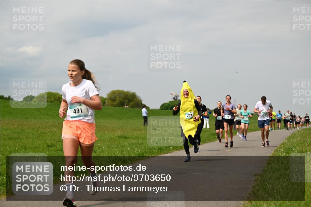 10.05.2026 - 8. Wedeler Halbmarathon Dr. Thomas Lammeyer http://msf.ph/oto/9703650 10.05.2026 11:50:32 Laufen 491, 257, 212, 281 meine-sportfotos.de