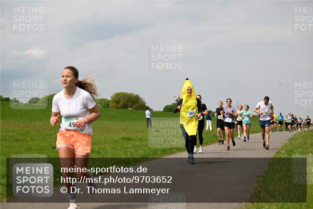 10.05.2026 - 8. Wedeler Halbmarathon Dr. Thomas Lammeyer http://msf.ph/oto/9703652 10.05.2026 11:50:33 Laufen 257, 212 meine-sportfotos.de