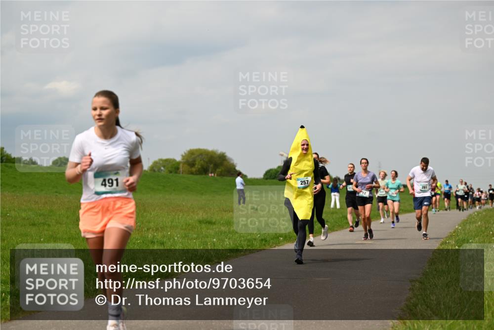 10.05.2026 - 8. Wedeler Halbmarathon Dr. Thomas Lammeyer http://msf.ph/oto/9703654 10.05.2026 11:50:33 Laufen 491, 257, 281 meine-sportfotos.de