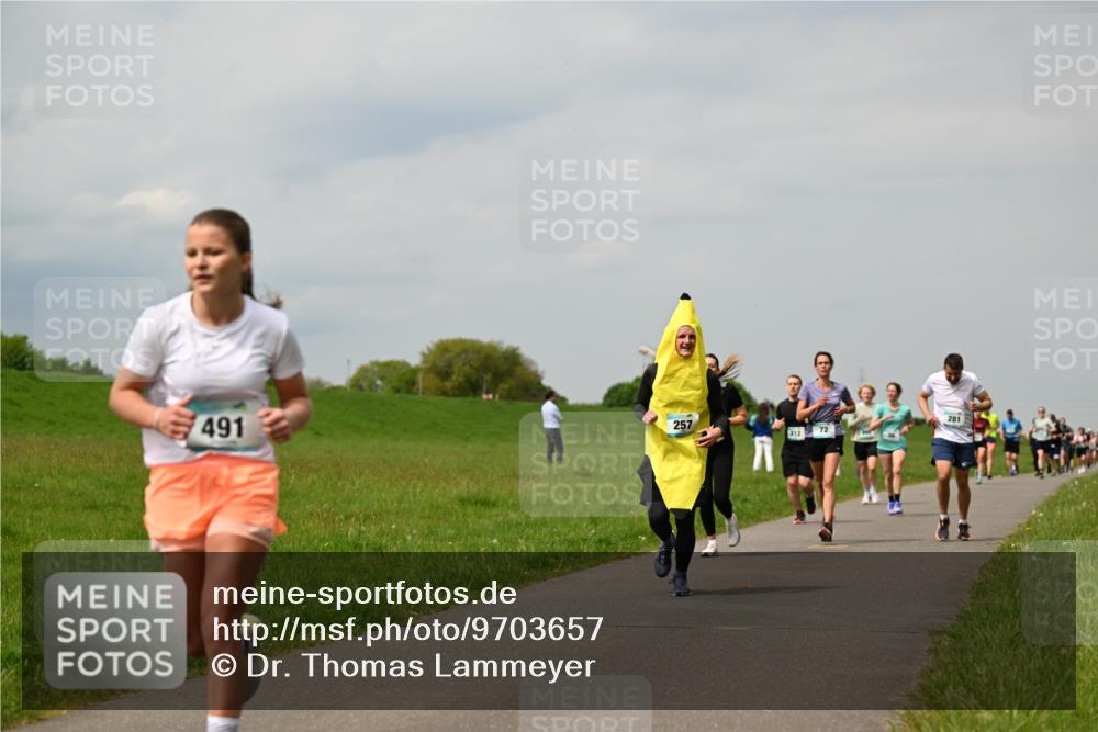 10.05.2026 - 8. Wedeler Halbmarathon Dr. Thomas Lammeyer http://msf.ph/oto/9703657 10.05.2026 11:50:33 Laufen 491, 257, 212, 281 meine-sportfotos.de