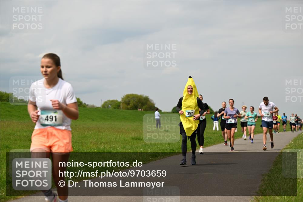 10.05.2026 - 8. Wedeler Halbmarathon Dr. Thomas Lammeyer http://msf.ph/oto/9703659 10.05.2026 11:50:33 Laufen 491, 257, 281 meine-sportfotos.de