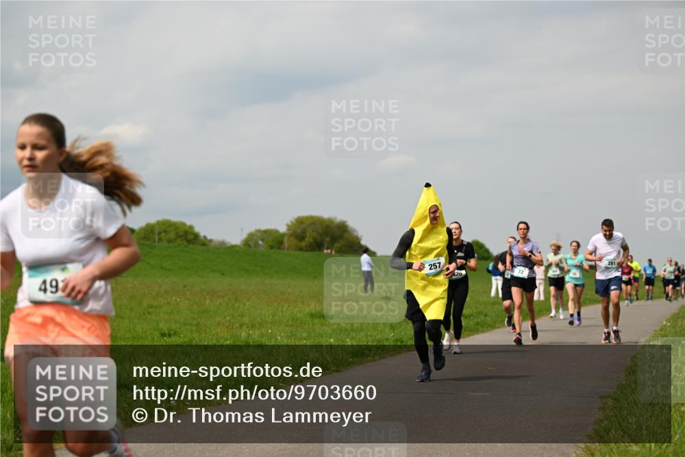 10.05.2026 - 8. Wedeler Halbmarathon Dr. Thomas Lammeyer http://msf.ph/oto/9703660 10.05.2026 11:50:33 Laufen 257, 281 meine-sportfotos.de