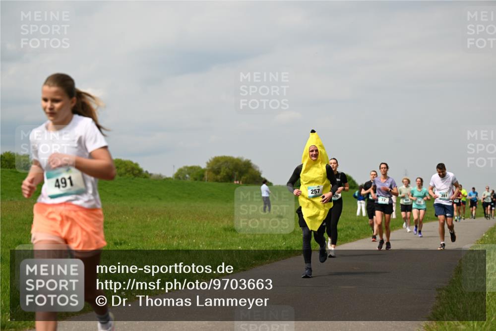 10.05.2026 - 8. Wedeler Halbmarathon Dr. Thomas Lammeyer http://msf.ph/oto/9703663 10.05.2026 11:50:33 Laufen 491, 257, 281 meine-sportfotos.de