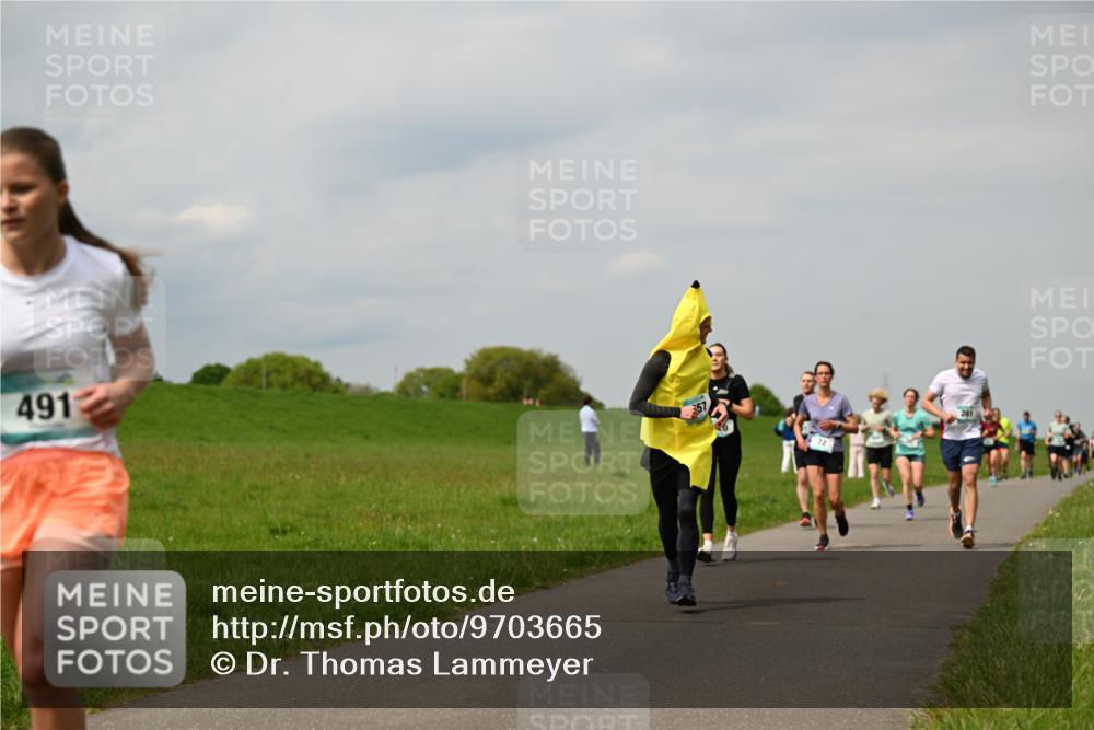 10.05.2026 - 8. Wedeler Halbmarathon Dr. Thomas Lammeyer http://msf.ph/oto/9703665 10.05.2026 11:50:33 Laufen 491 meine-sportfotos.de