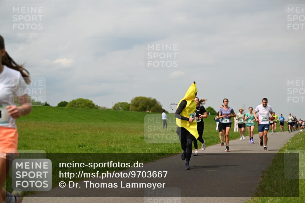 10.05.2026 - 8. Wedeler Halbmarathon Dr. Thomas Lammeyer http://msf.ph/oto/9703667 10.05.2026 11:50:33 Laufen 281 meine-sportfotos.de