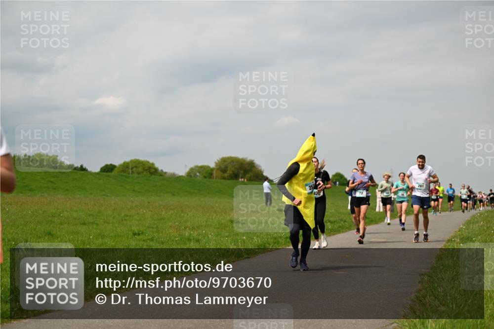 10.05.2026 - 8. Wedeler Halbmarathon Dr. Thomas Lammeyer http://msf.ph/oto/9703670 10.05.2026 11:50:34 Laufen 281 meine-sportfotos.de