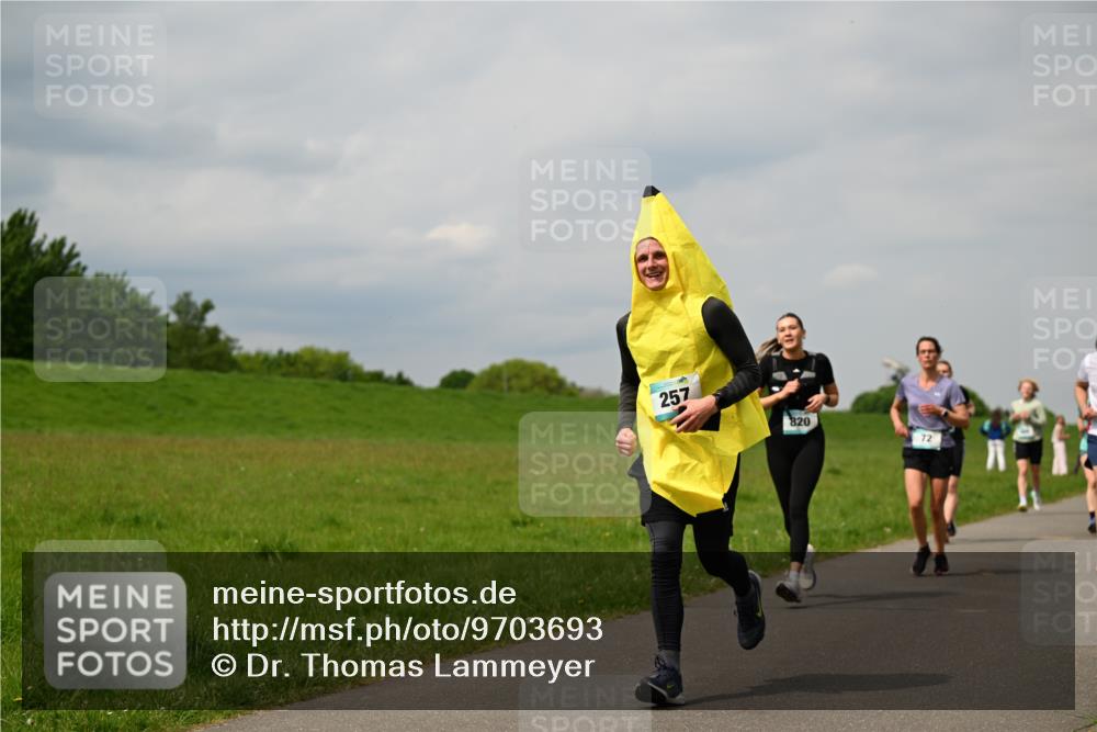 10.05.2026 - 8. Wedeler Halbmarathon Dr. Thomas Lammeyer http://msf.ph/oto/9703693 10.05.2026 11:50:35 Laufen 257, 820 meine-sportfotos.de
