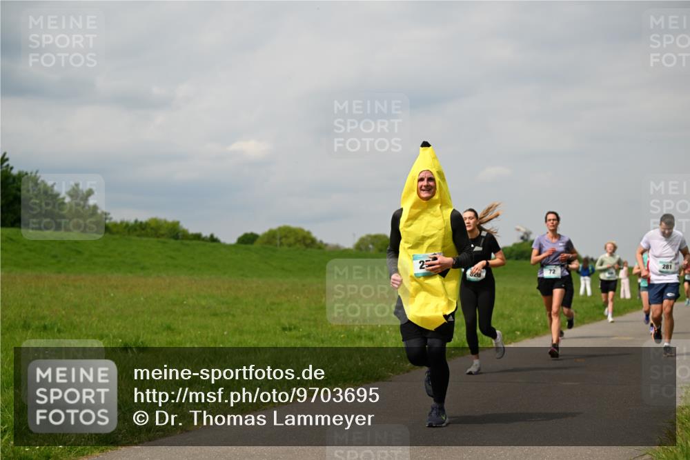 10.05.2026 - 8. Wedeler Halbmarathon Dr. Thomas Lammeyer http://msf.ph/oto/9703695 10.05.2026 11:50:35 Laufen 281 meine-sportfotos.de