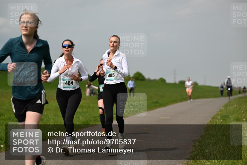 10.05.2026 - 8. Wedeler Halbmarathon Dr. Thomas Lammeyer http://msf.ph/oto/9705837 10.05.2026 11:56:00 Laufen 484, 485 meine-sportfotos.de