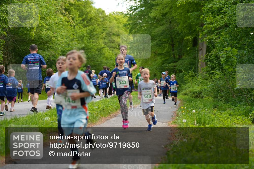 09.05.2026 - Störlauf LAZAROV Photography http://msf.ph/oto/9719850 09.05.2026 13:21:46 Laufen 26, 2, 148, 342, 279, 32, 343, 146 meine-sportfotos.de