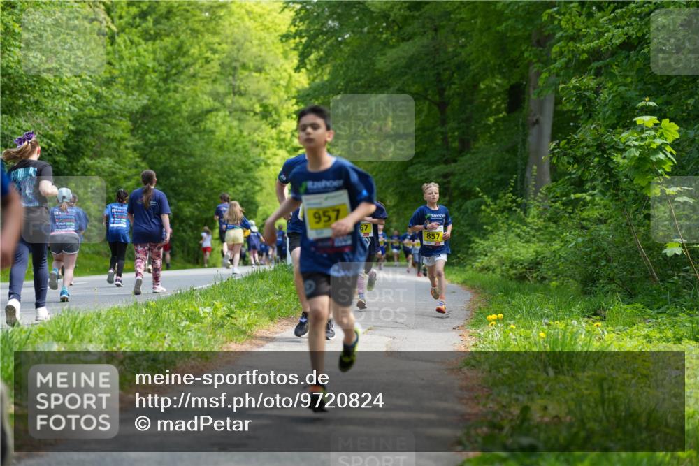 09.05.2026 - Störlauf LAZAROV Photography http://msf.ph/oto/9720824 09.05.2026 14:05:46 Laufen 957, 857 meine-sportfotos.de
