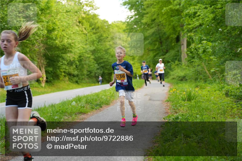 09.05.2026 - Störlauf LAZAROV Photography http://msf.ph/oto/9722886 09.05.2026 15:22:49 Laufen 243, 2236 meine-sportfotos.de