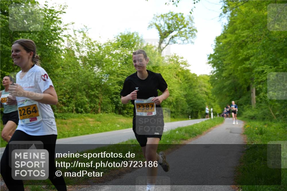 09.05.2026 - Störlauf LAZAROV Photography http://msf.ph/oto/9723186 09.05.2026 15:27:01 Laufen 227, 2026, 2264, 2026, 2387 meine-sportfotos.de