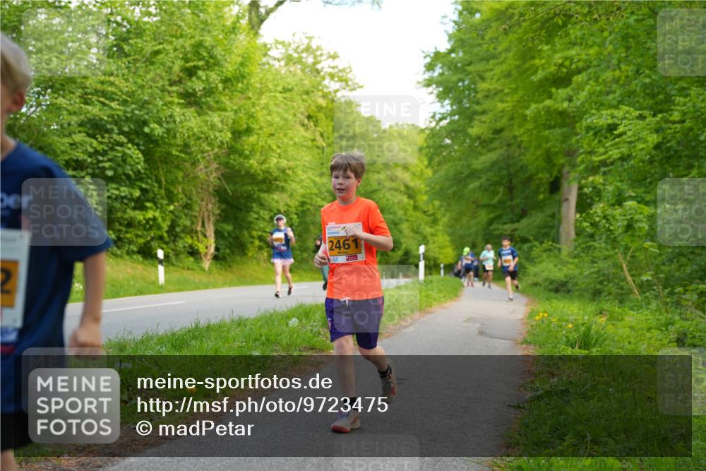 09.05.2026 - Störlauf LAZAROV Photography http://msf.ph/oto/9723475 09.05.2026 15:31:13 Laufen 246 meine-sportfotos.de