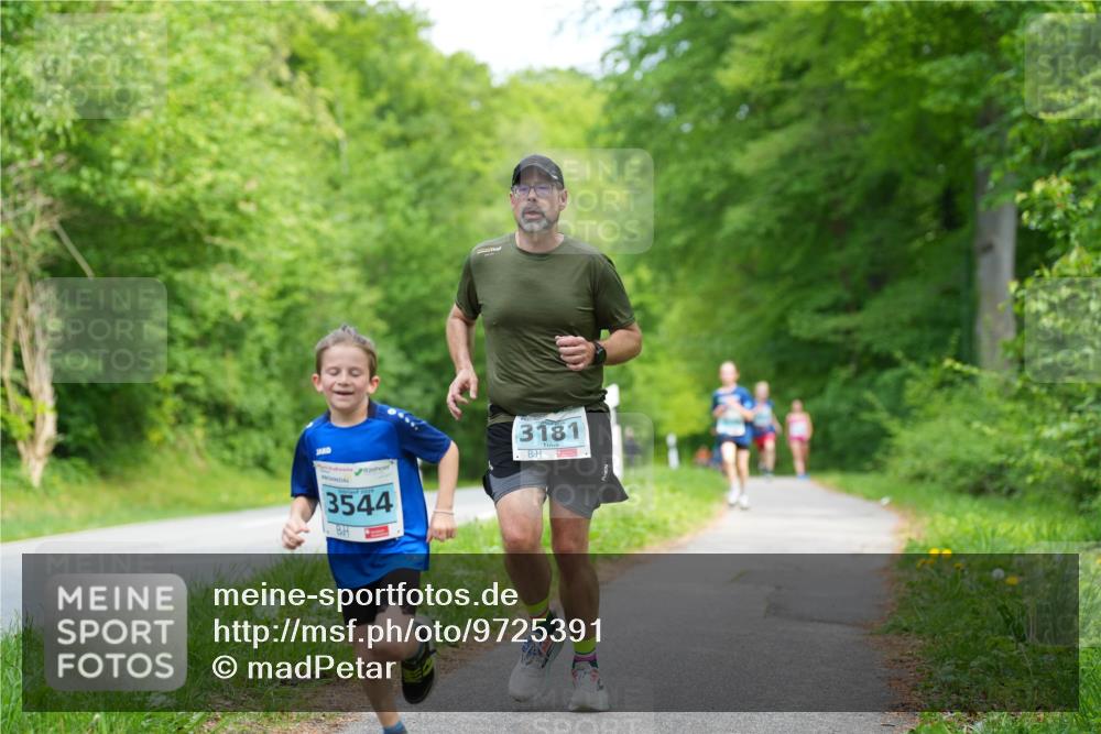 09.05.2026 - Störlauf LAZAROV Photography http://msf.ph/oto/9725391 09.05.2026 16:21:33 Laufen 3544, 3181 meine-sportfotos.de