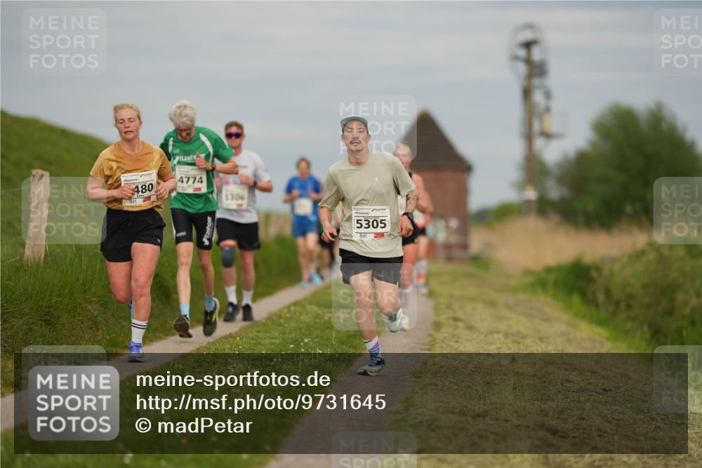 09.05.2026 - Störlauf LAZAROV Photography http://msf.ph/oto/9731645 09.05.2026 18:38:53 Laufen 480, 4774, 5306, 5305 meine-sportfotos.de
