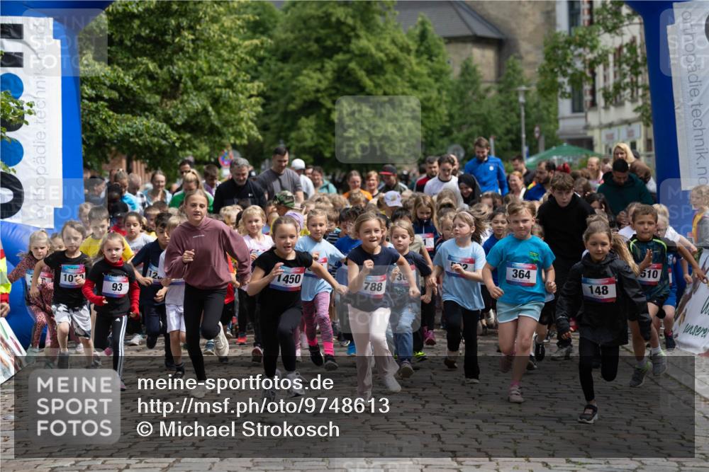 12.06.2026 - Holstenköstenlauf Michael Strokosch http://msf.ph/oto/9748613 12.06.2026 15:30:07 Laufen 364, 510, 1450, 10, 788, 148, 93 meine-sportfotos.de