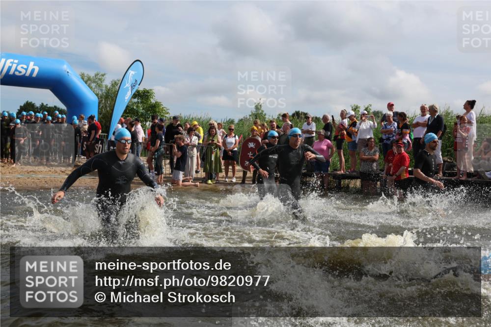 21.06.2026 - Viking Triathlon Michael Strokosch http://msf.ph/oto/9820977 21.06.2026 10:03:10 Schwimmen 49, 68, 80, 82, 170, 199, 200, 208, 348, 352, 356, 404, 467, 545, 612 meine-sportfotos.de