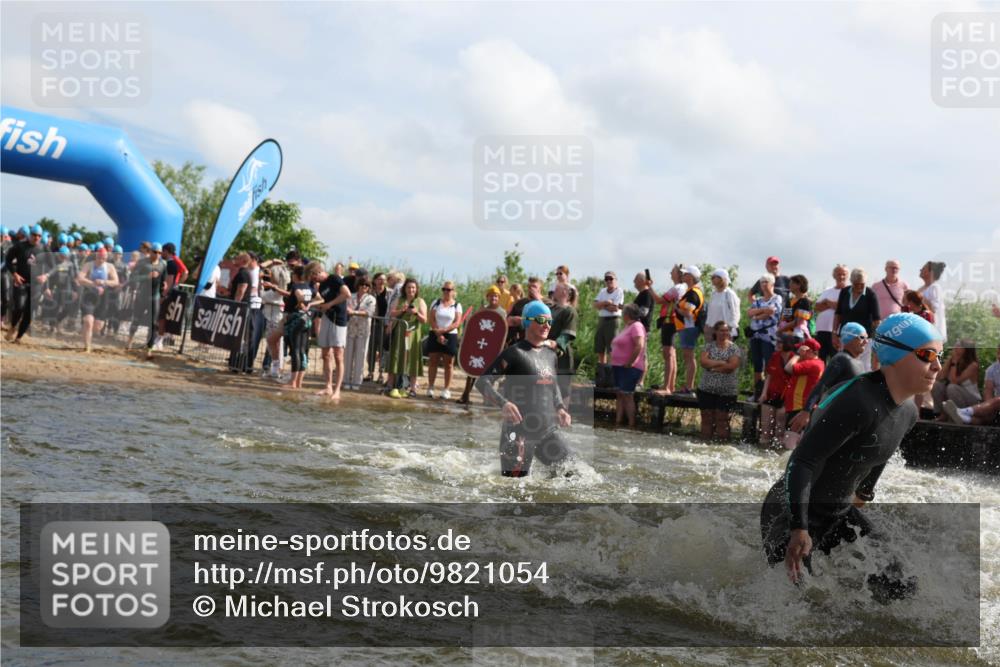 21.06.2026 - Viking Triathlon Michael Strokosch http://msf.ph/oto/9821054 21.06.2026 10:03:46 Schwimmen 137, 144, 229, 267, 287, 291, 323, 339, 340, 436, 450, 458, 521, 559, 649 meine-sportfotos.de